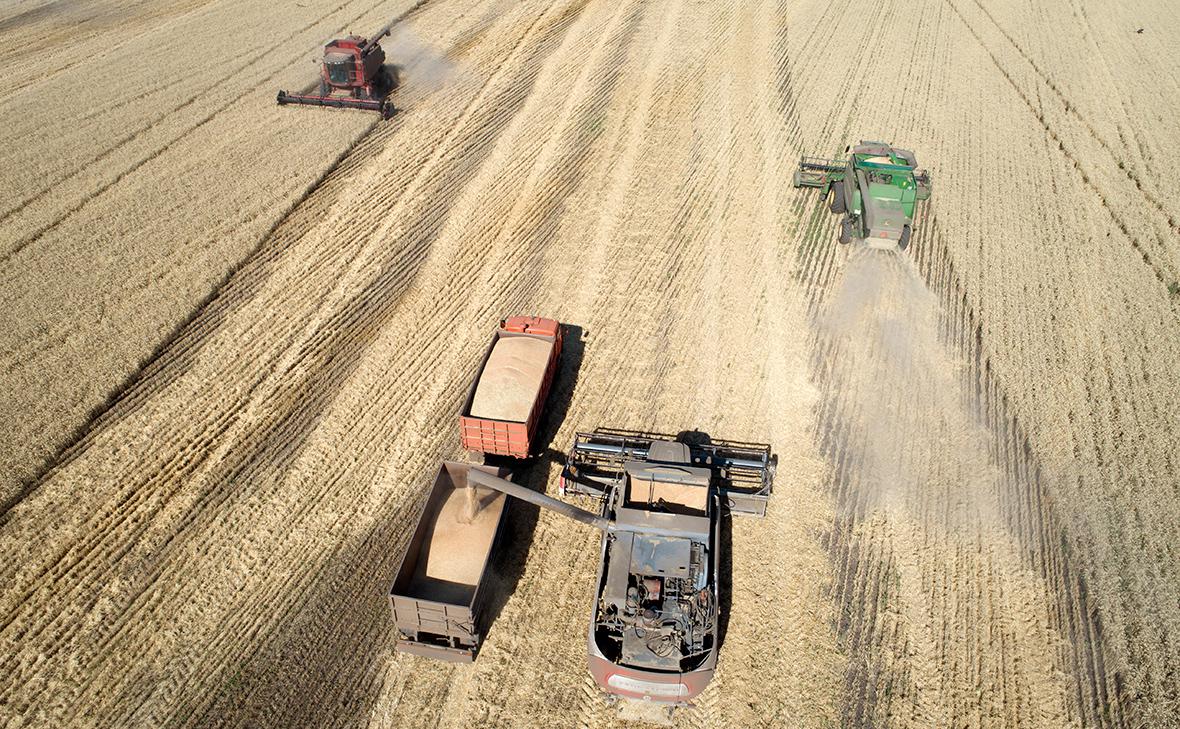 Песков оценил последствия ограничений на импорт зерна из России в ЕС